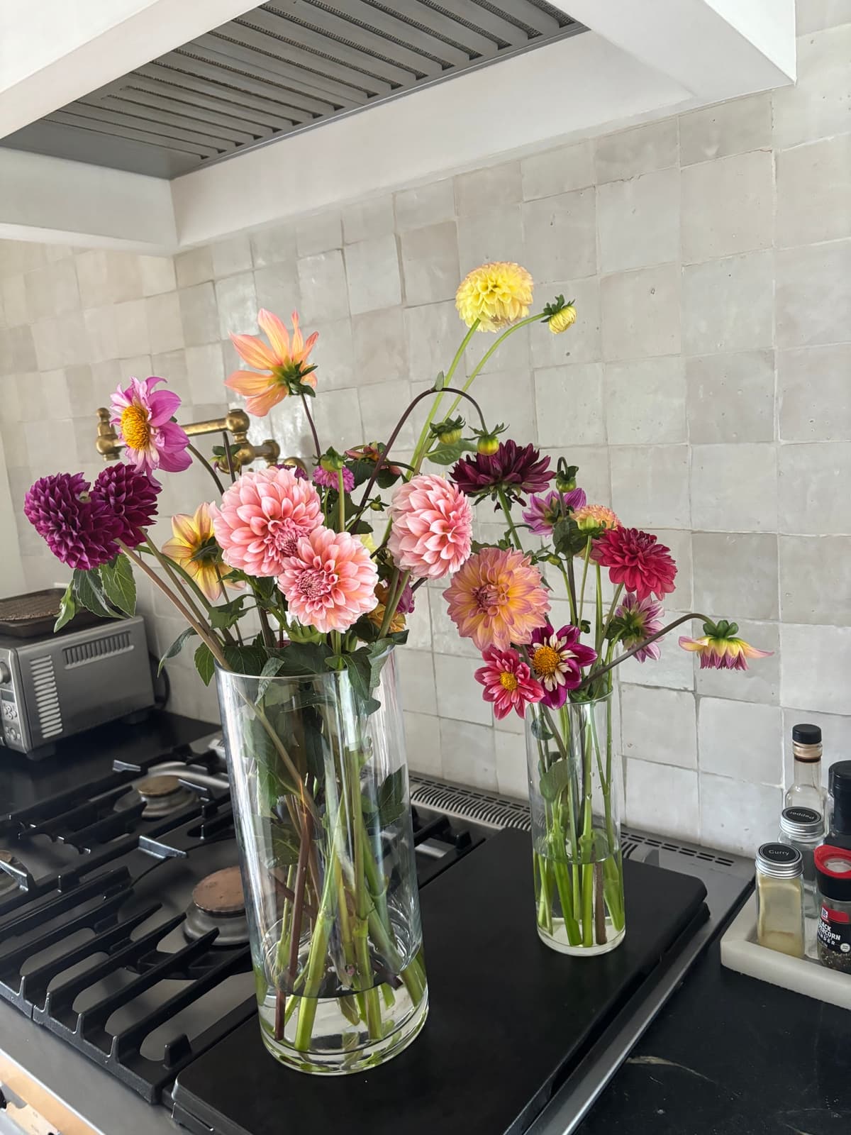 Two vases filled with colorful dahlias on a kitchen counter
