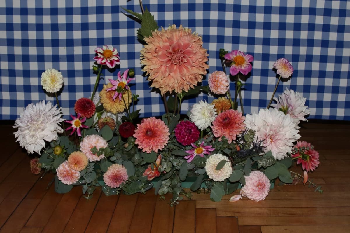 A lush, low floral arrangement sitting on a wooden floor against a blue and white checkered background. The design features a variety of dahlias in shades of peach, pink, white, and burgundy, centered around a large dinnerplate dahlia, intermixed with eucalyptus foliage.
