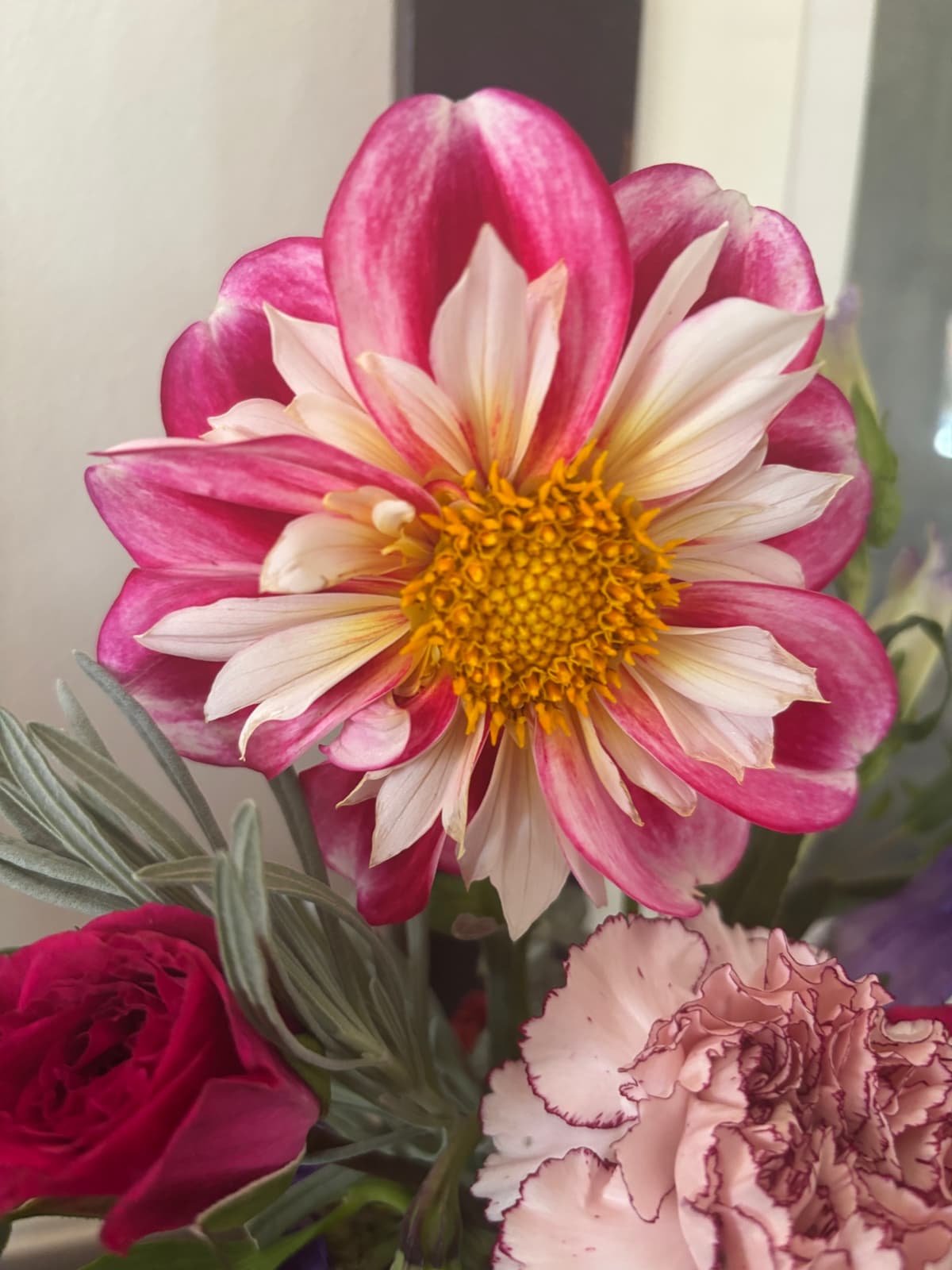 Close-up of a floral arrangement featuring a large pink and white dahlia with a yellow center, a pale pink carnation with purple edges, and a deep magenta rose, accented by silvery-green foliage.